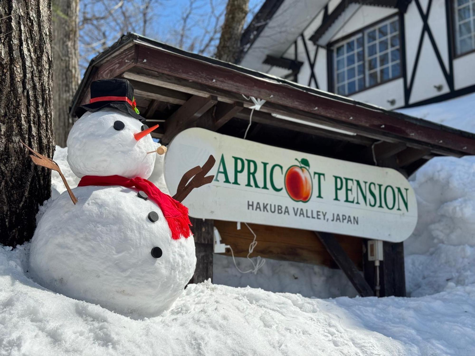 Apricot Pension ฮาคุบะ ภายนอก รูปภาพ