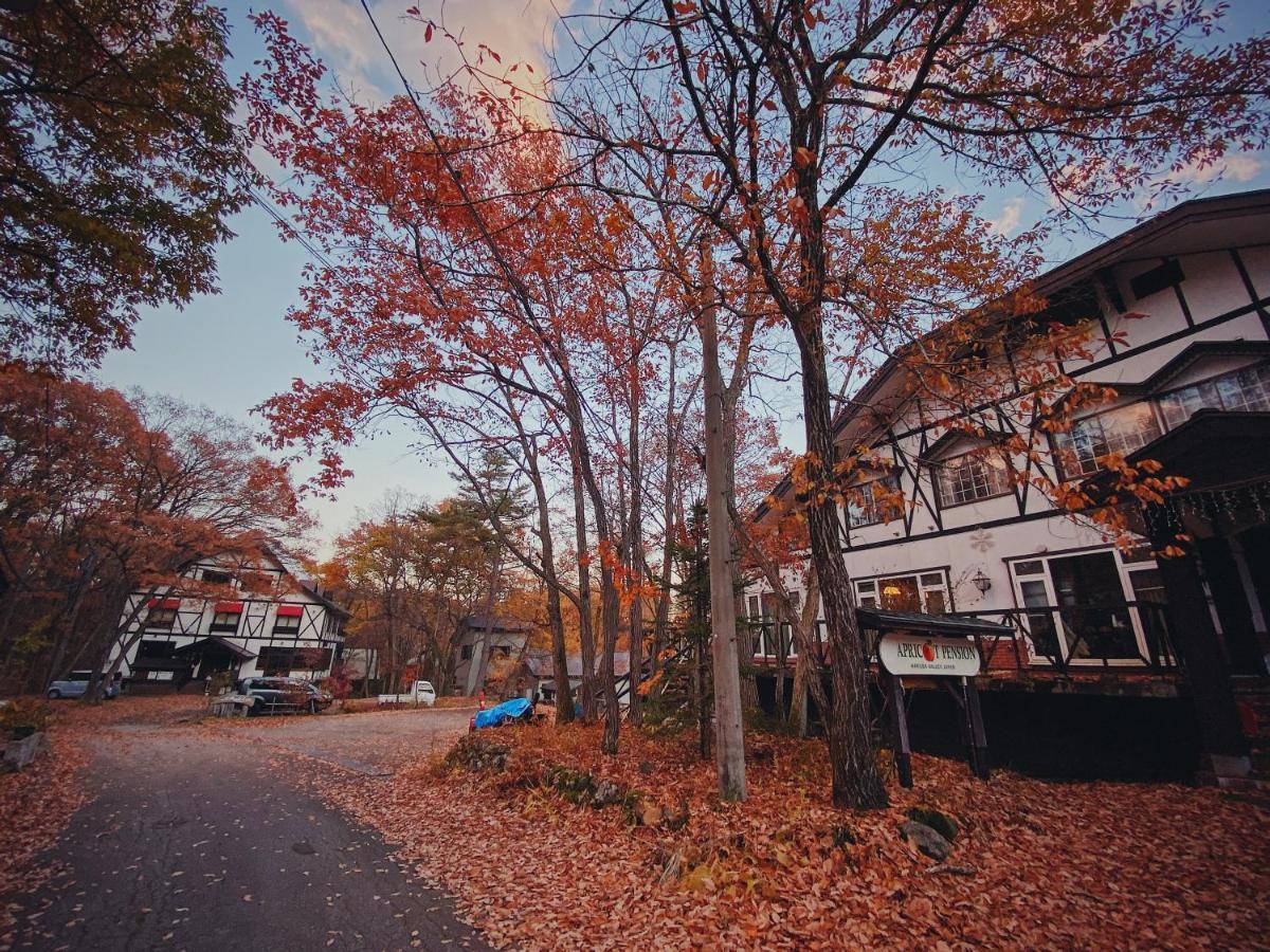 Apricot Pension ฮาคุบะ ภายนอก รูปภาพ